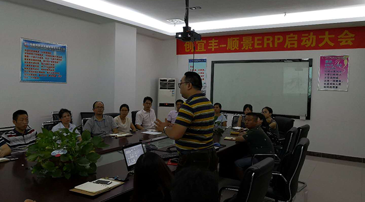 东莞市创宜丰精密橡塑有限公司-极悦ERP项目正式启动
